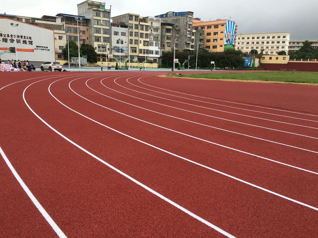 五指山市EPDM颗粒塑胶跑道材料 - 推荐